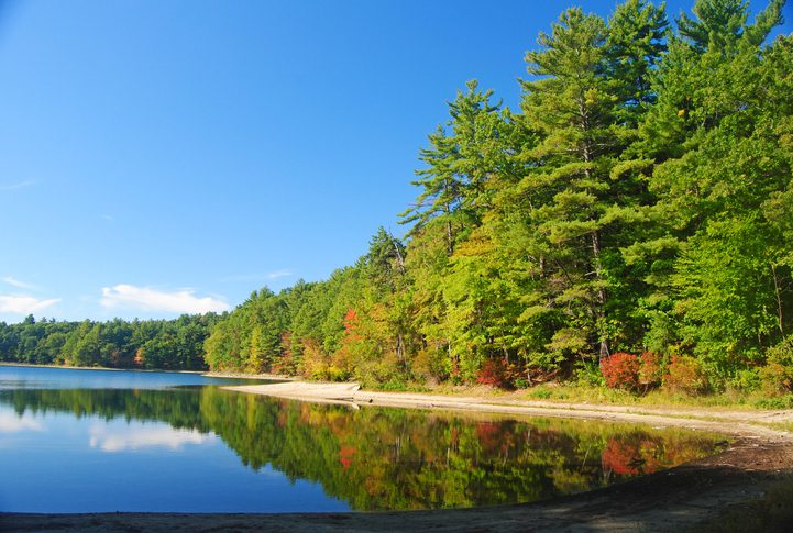 Aerial view of Walden Pond