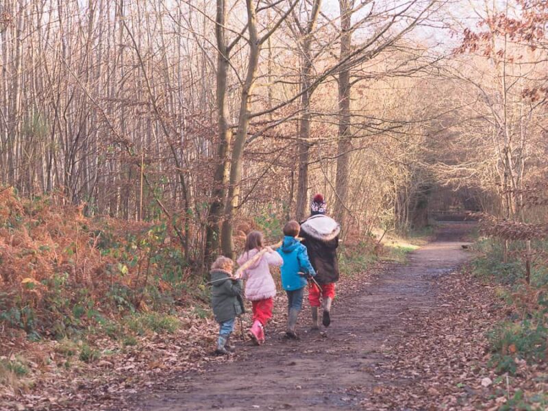 Kids walking in the woods, as an example of camping activities for kids