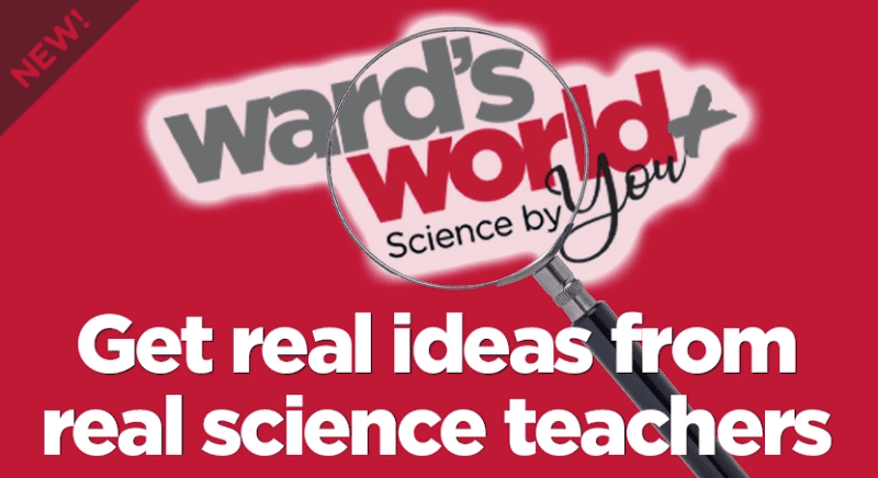 Ward's Science - science by you