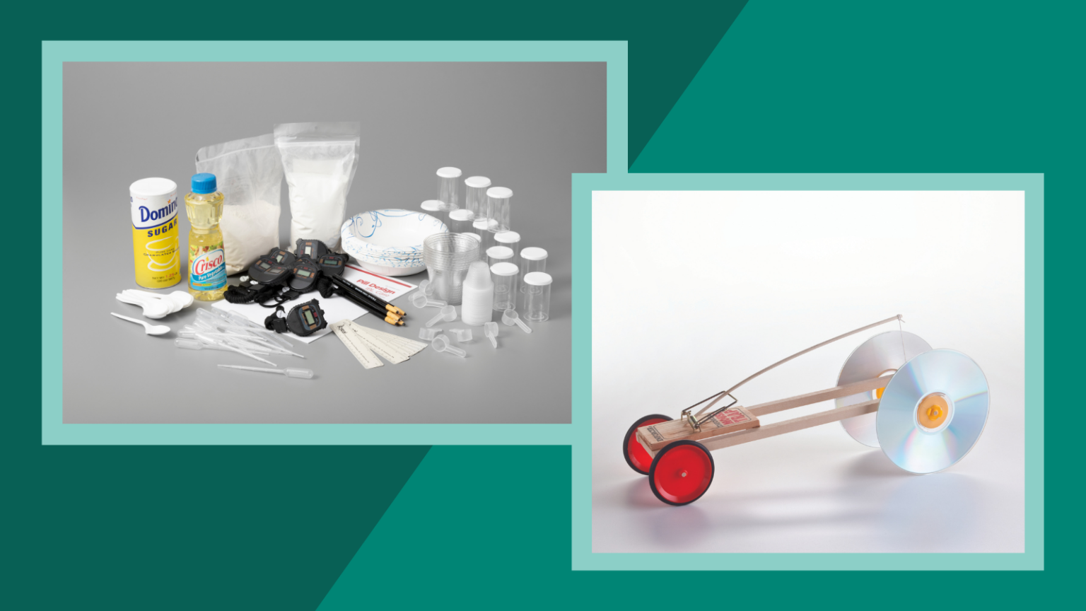 Ward Science Lab Win a Science Activity Kit for Your Class + a $100 Gift Certificate to ...