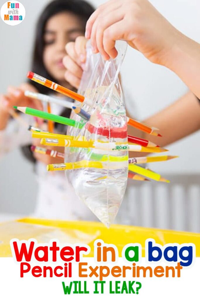 person putting pencils through a bag filled with water for water activity