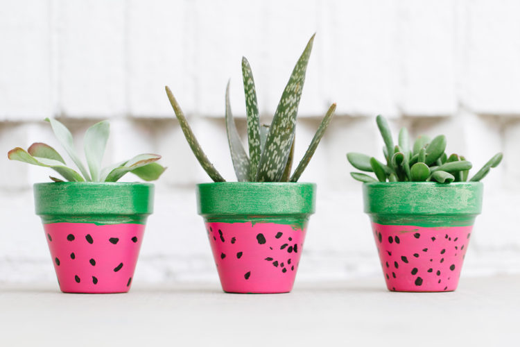 Tiny terracotta pots of succulents are painted green on top and pink on the bottom to resemble a slice of watermelon as an example of summer crafts for kids