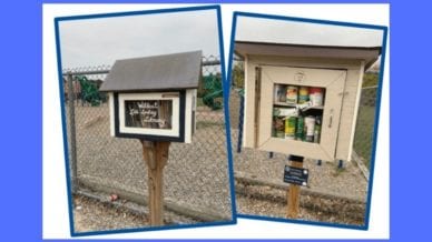Photograph of two Little Free Libraries