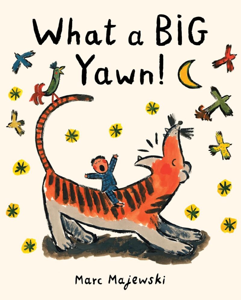 What a Big Yawn What a Big Yawn book cover