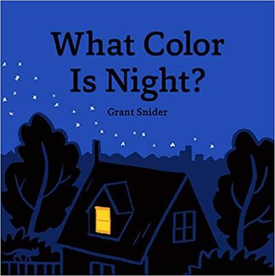 Book cover for What Color is Night? as an example of preschool books