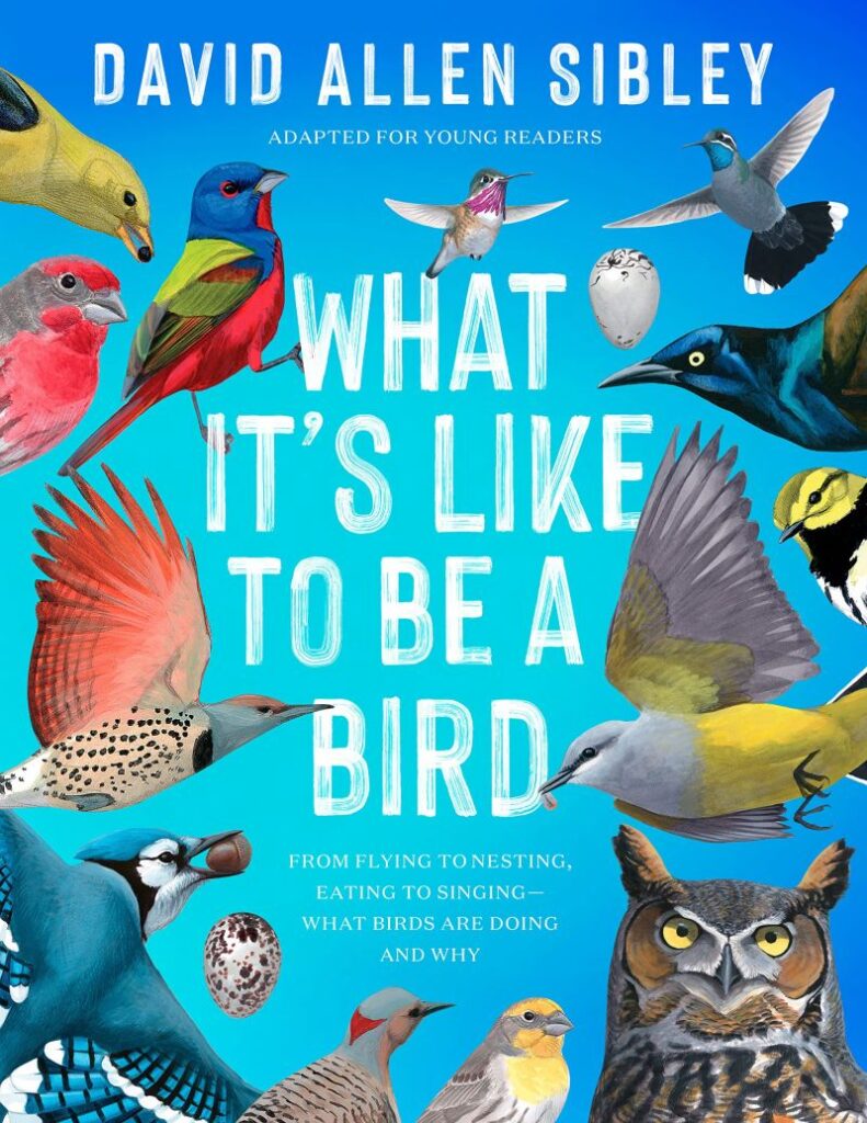 What It's Like to Be a Bird book cover