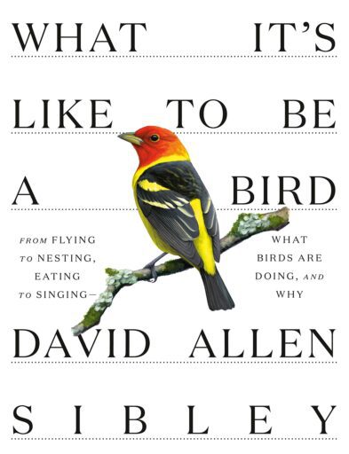 Book cover: What It's Like To Be a Bird