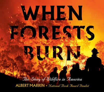 When Forests Burn Book Cover