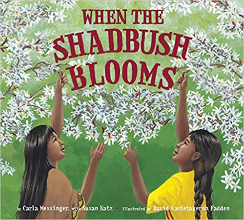 Book cover for When the Shadbush Blooms as an example of first grade books