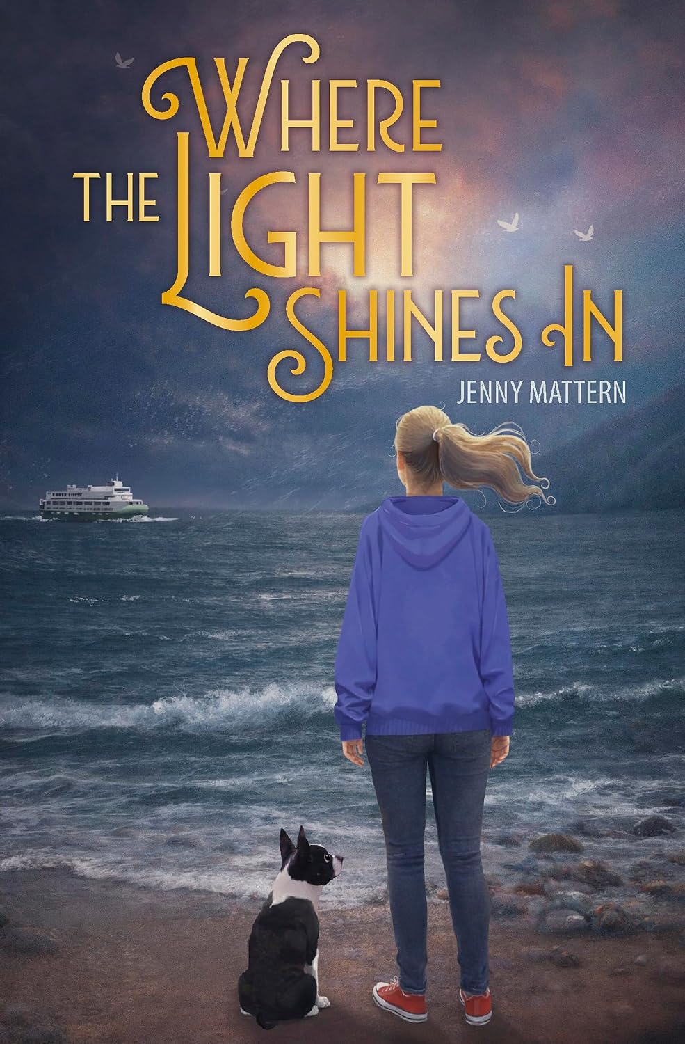 Where the Light Shines In Where the Light Shines In book cover