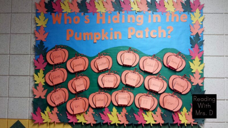 Fall bulletin boards often include pumpkins like this one that reads "who's hiding in our patch." It has pumpkins with students' names on them and if you lift the flap there is a photo of the student.