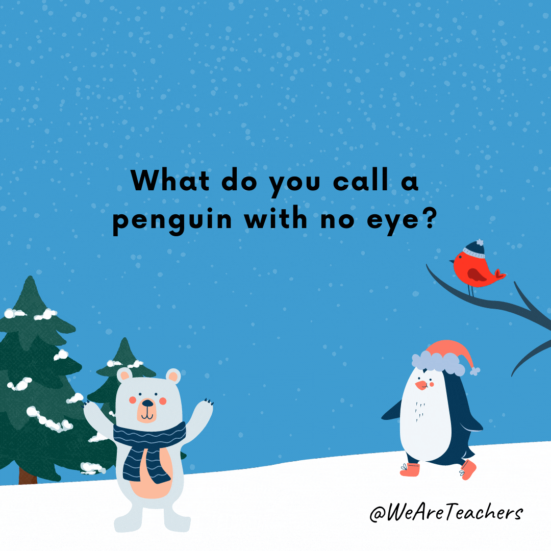 What do you call a penguin with no eye? A pengun!