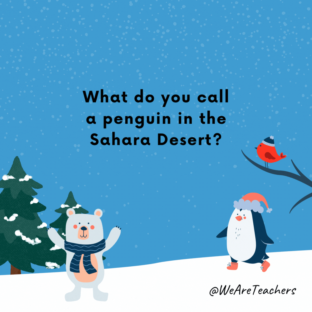 What do you call a penguin in the Sahara Desert?- winter jokes