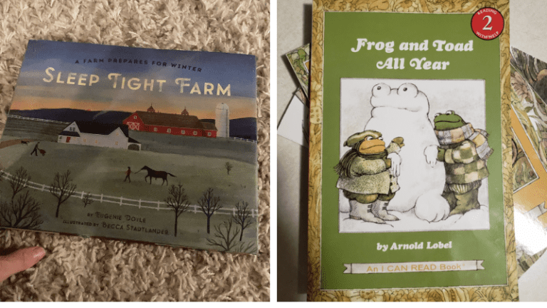 Examples of winter picture books, including Sleep Tight Farm and Frog and Toad all Year