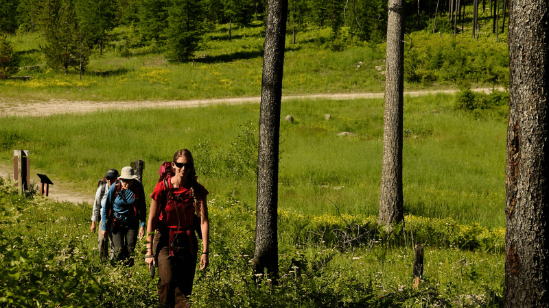 Two teachers backpacking out on green trails for summer professional development